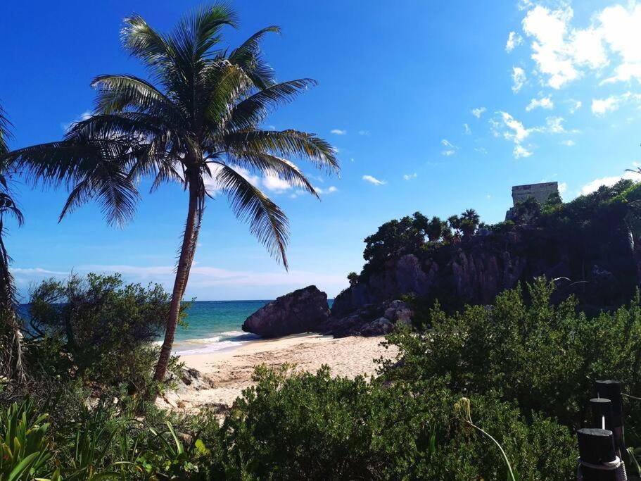 Appartamento Jungle Penthouse With *private Plunge Pool*/aldea Zama *